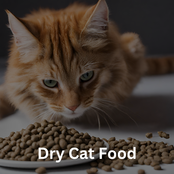 Purina pro plan dry cat food