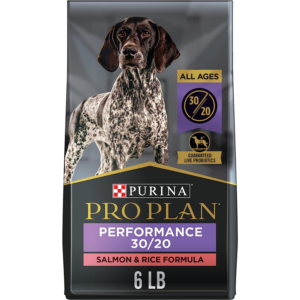 High Energy, High Protein Dog Food