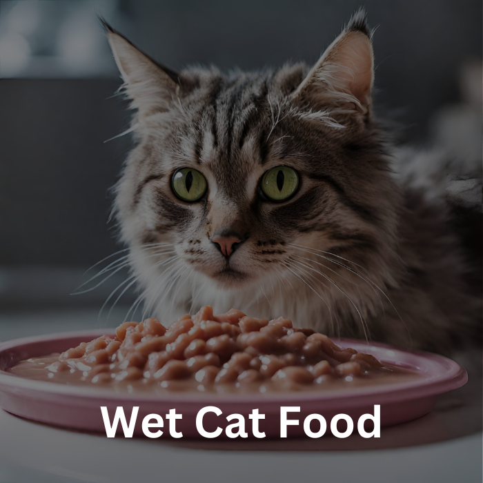 Purina pro plan wet cat food