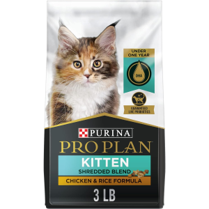 High Protein Dry Kitten Food