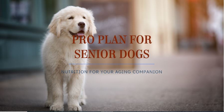 5 Benefits of the Purina Pro Plan for Senior Dogs